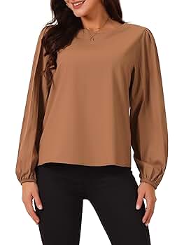 Seta T Women's Elegant Round Neck Chiffon Blouses Pleated